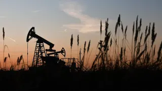 Доля нефтегазового сектора в российской экономике в прошлом году снизилась до 13% ВВП — минимального уровня с 2017 года. Падение цен на нефть, санкции и ограничения добычи ударили по прибыли компаний и доходам бюджета, усилив долгосрочный тренд на снижение роли нефти и газа.