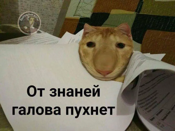 Минспорт планирует ввести норматив по управлению небольшим дроном в тестовом режиме в этом году; со следующего года за его выполнение можно будет получить знак ГТО, дающий до 10 баллов к результатам экзамена.