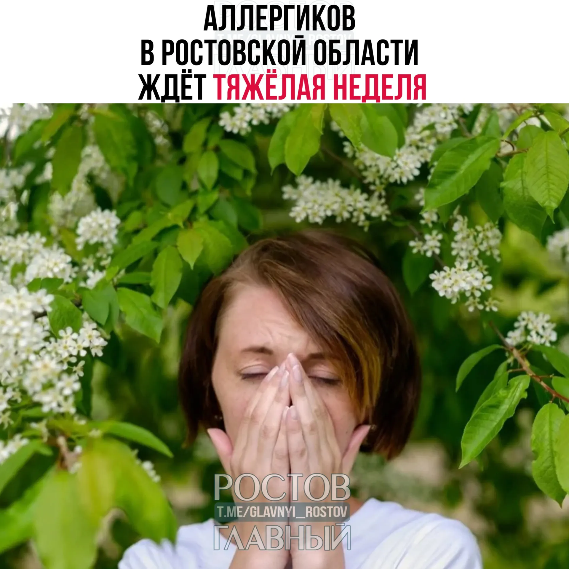 Жителям региона прогнозируют усиление аллергенной активности: врачей просят соблюдать меры предосторожности и ограничить пребывание на улице в ветреную и сухую погоду.