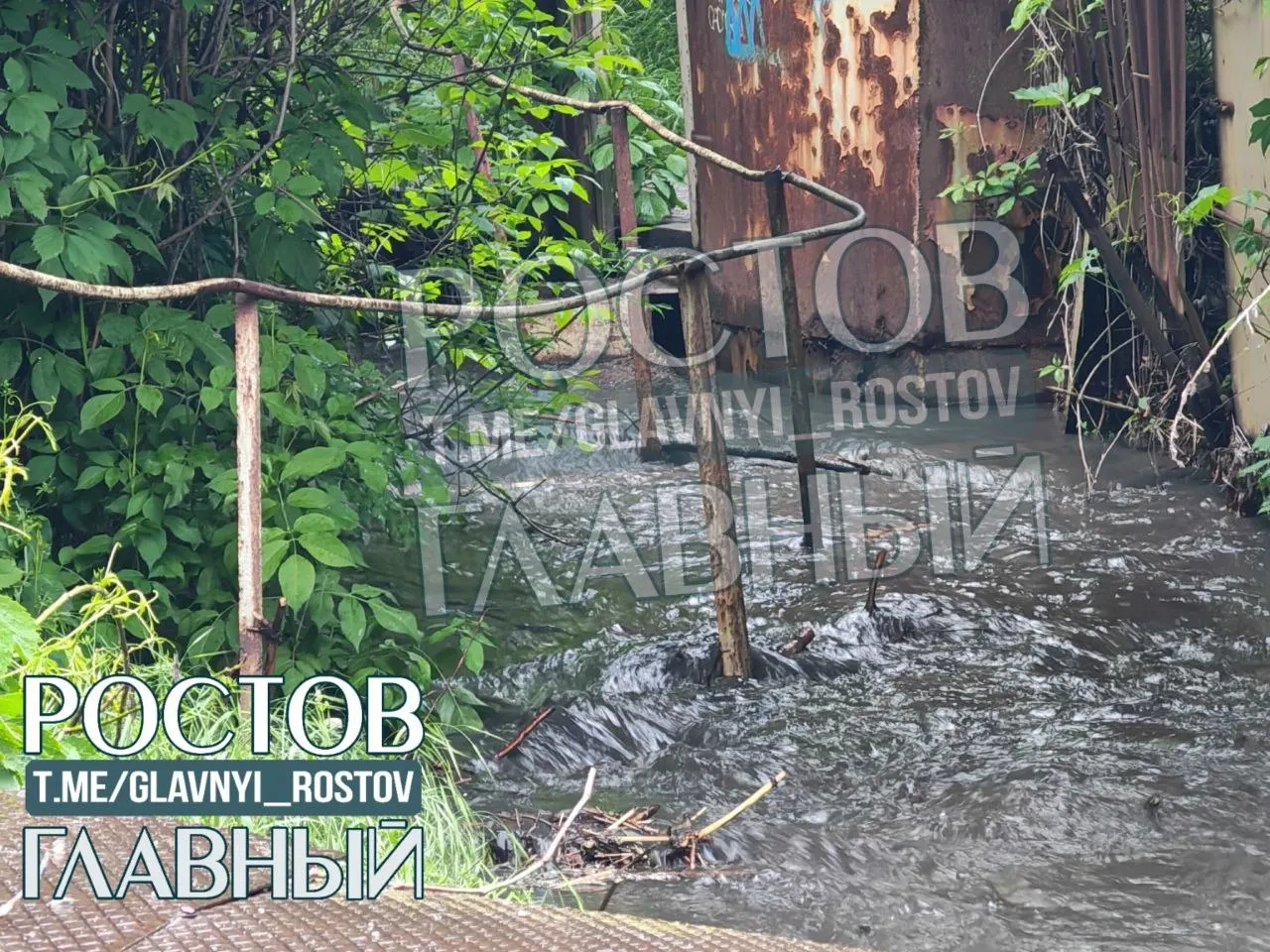 Жители сообщили о регулярных сбросах воды с примесью мазута в безымянную балку рядом с улицей Труда: стоки текут через зоопарк прямо в реку Дон, очистки нет, стоит запах масла.