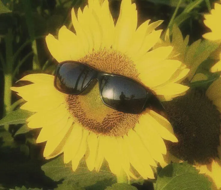 Днём до +27 °C, ясное небо и слабый ветер. Осадков не ожидается.