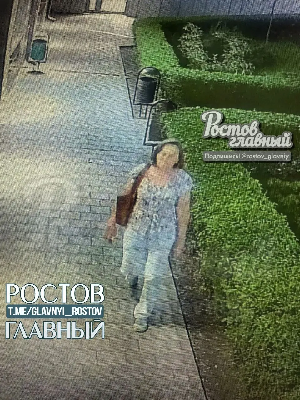 Жители зафиксировали кражу кустарника на ул. 50-летия Ростсельмаша, 1/52. Свидетели просят вернуть растение добровольно — иначе материалы намерены передать в полицию.