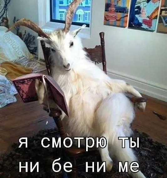 Днём до +28 °C, без ветра и осадков. Отличный день для прогулок, но завтра возможен дождь.