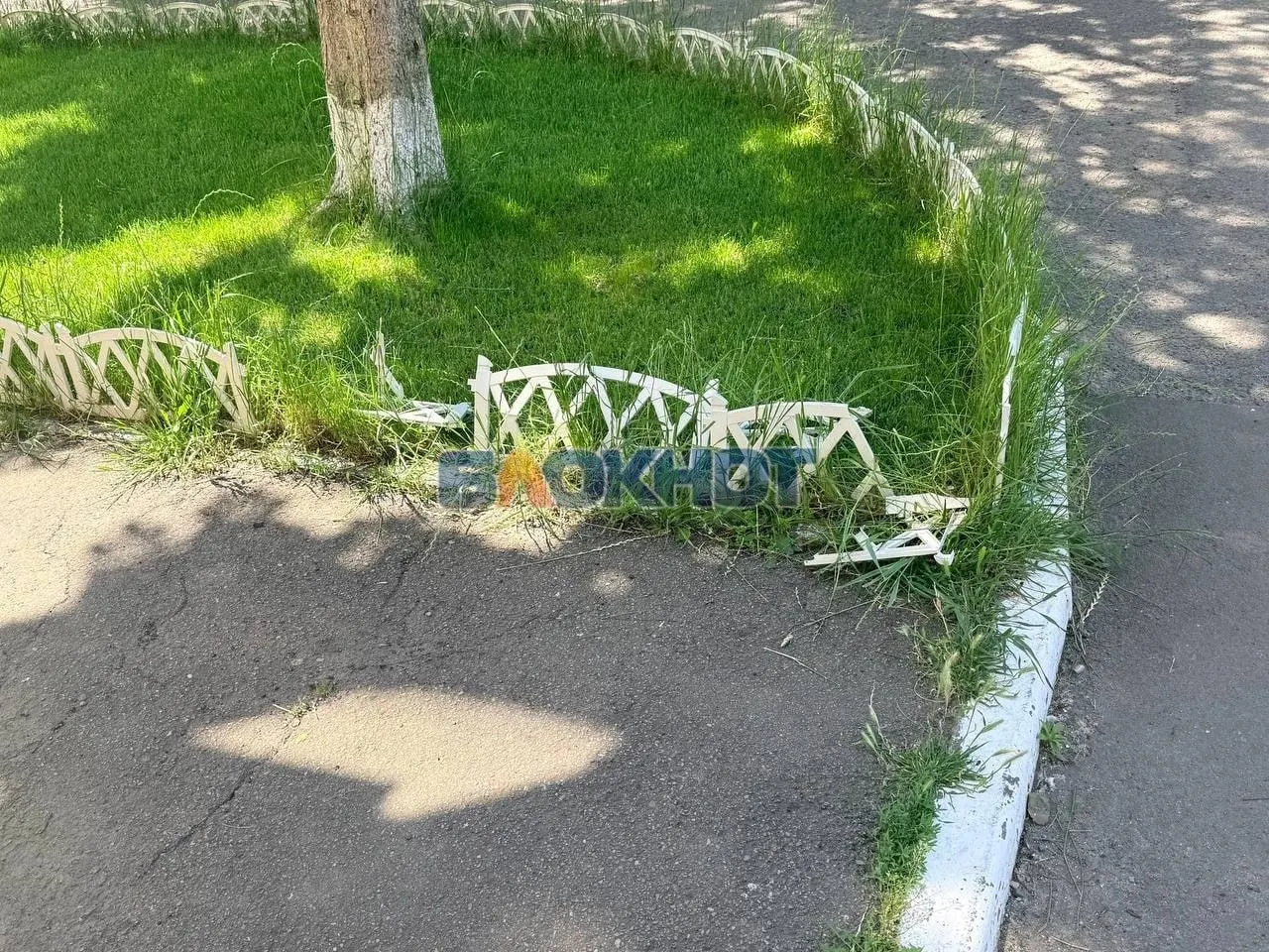 Молодой человек попал на записи камер, когда топтал и разрушал ограждение у дома на Портовой, 170 в Ростове‑на‑Дону.