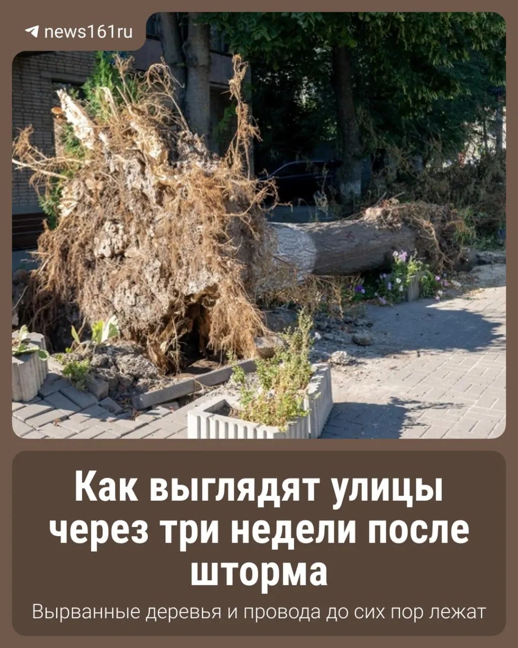 Поваленные деревья, оборванные провода и затруднения с уборкой остаются проблемами города спустя три недели после стихии.