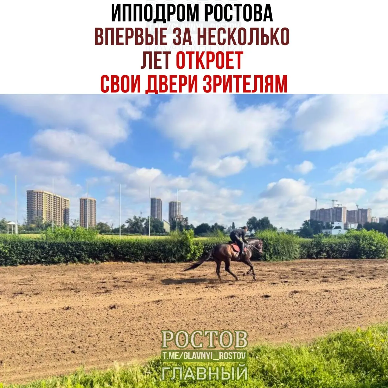 Первое массовое мероприятие после приватизации пройдет на ипподроме: 12 сентября — гонка за Кубок губернатора Ростовской области; вход на трибуны будет бесплатным в день открытия.
