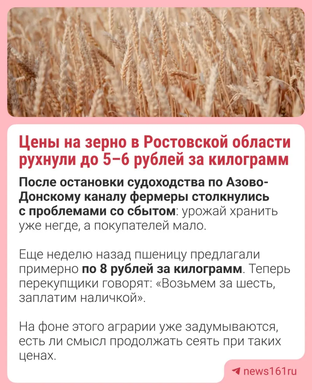 Фермеры фиксируют снижение цены: ранее называли около 8 рублей за килограмм, теперь перекупщики готовы купить урожай за 6 рублей и расплатиться наличными. Из-за задержек с отгрузкой ангары переполнены, аграрии думают, стоит ли сеять дальше.