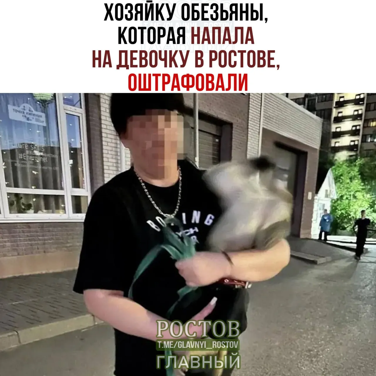 Обезьяна напала на 10-летнюю школьницу возле общежитий ЮФУ на Зорге. Пострадавшую доставили в больницу, животному сделали прививку от бешенства, а хозяйке назначен штраф. По словам владельца, животное не привито и не обязано носить намордник.