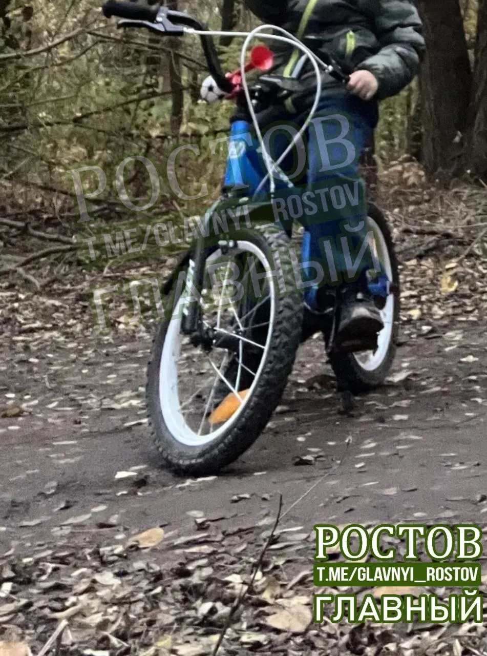 Сообщение о краже детского велосипеда по адресу на проспекте 40-летия Победы, произошедшей днем 12 сентября в 16:59. Родители просят вернуть транспорт, иначе будет обращение в полицию.