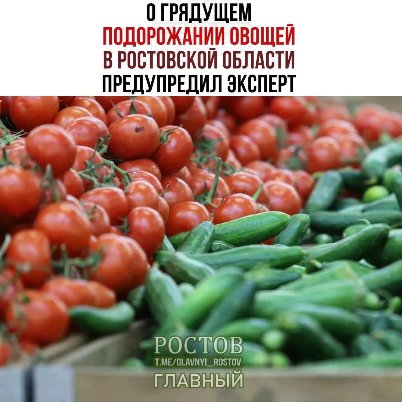 Цены на продукты в Ростовской области растут из-за изменений ассортимента и повышения затрат на производство; в 2026 году ожидается умеренный рост цен на мясо и молоко.