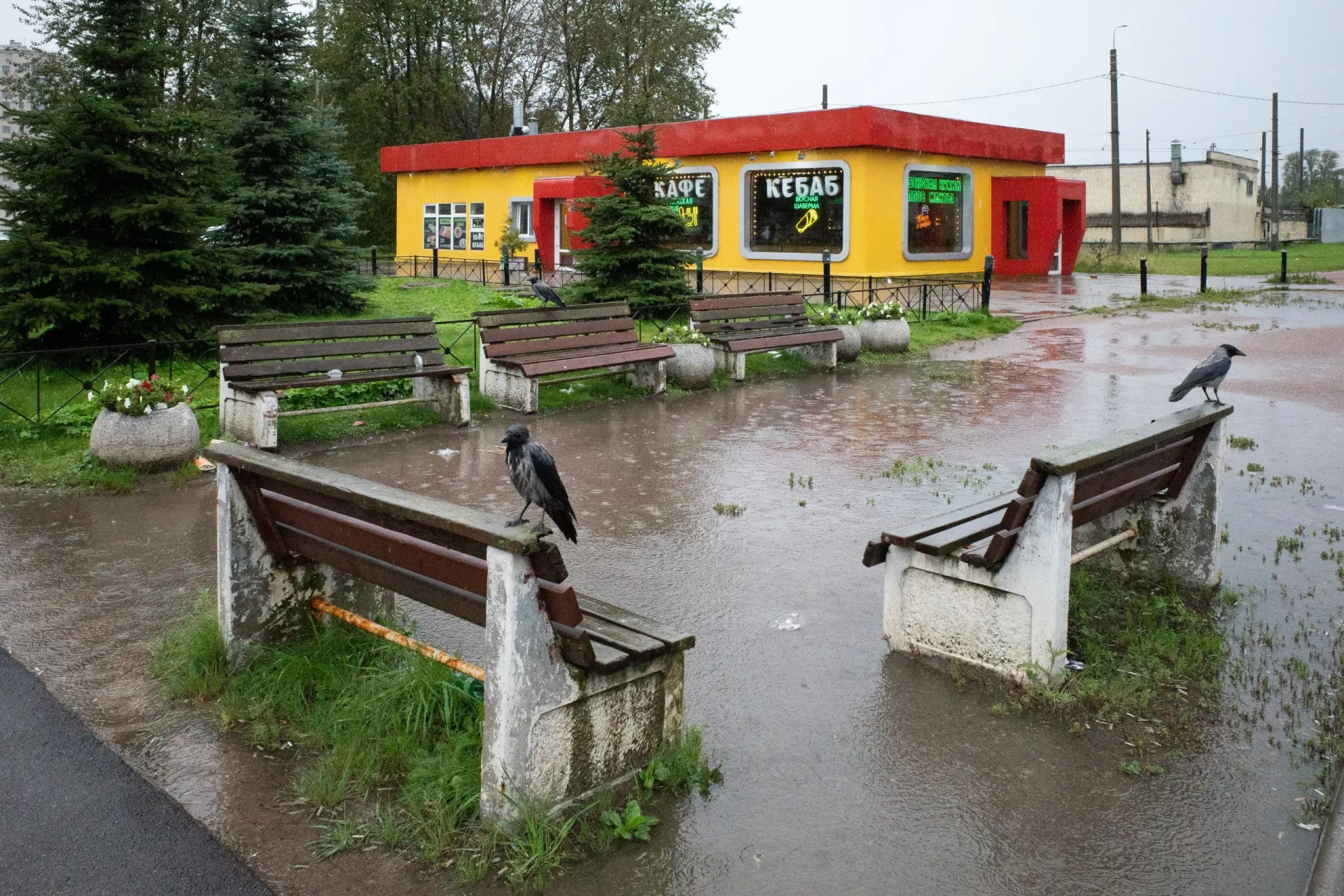 В Петербурге обсуждают семейные и юридические истории, в России — политические и правительственные решения, а в мире — вопросы границы, конфликты и последствия событий.