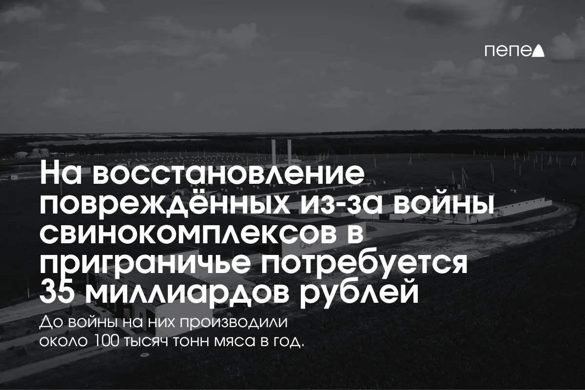 В Белгородской, Курской и Брянской областях восстанавливают пострадавшие хозяйства; совокупные затраты оцениваются в 35 млрд рублей.