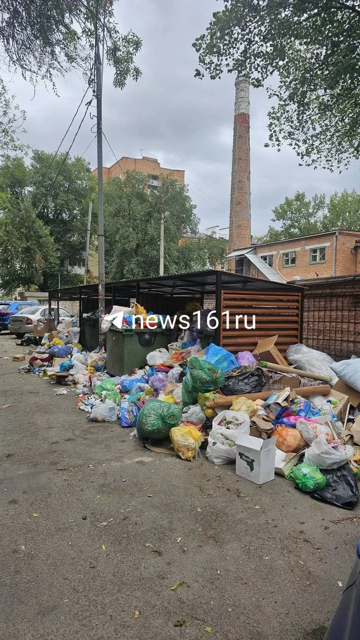 Жители района Комсомольской площади Ростова-на-Дону жалуются на нерегулярный вывоз мусора и переполненные баки, что приводит к распространению грызунов.