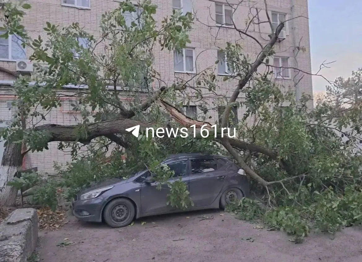 Жители делятся кадрами последствий штормового ветра: дерево упало на автомобиль в Азове, фонарь — в Ростове-на-Дону.