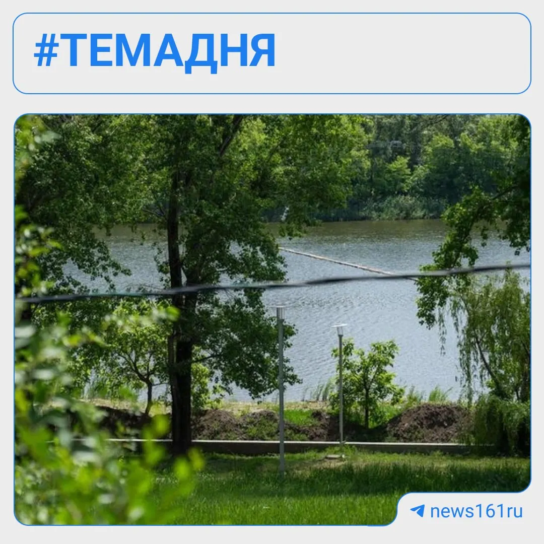В Ростове-на-Дону пройдет День посадок деревьев: планируется высадить 1700 деревьев и 5000 кустарников в нескольких точках города.