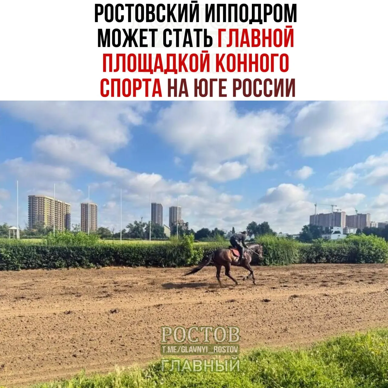 Обсуждаются планы превратить ростовский ипподром в центр конного спорта и семейного отдыха с обновленной инфраструктурой.