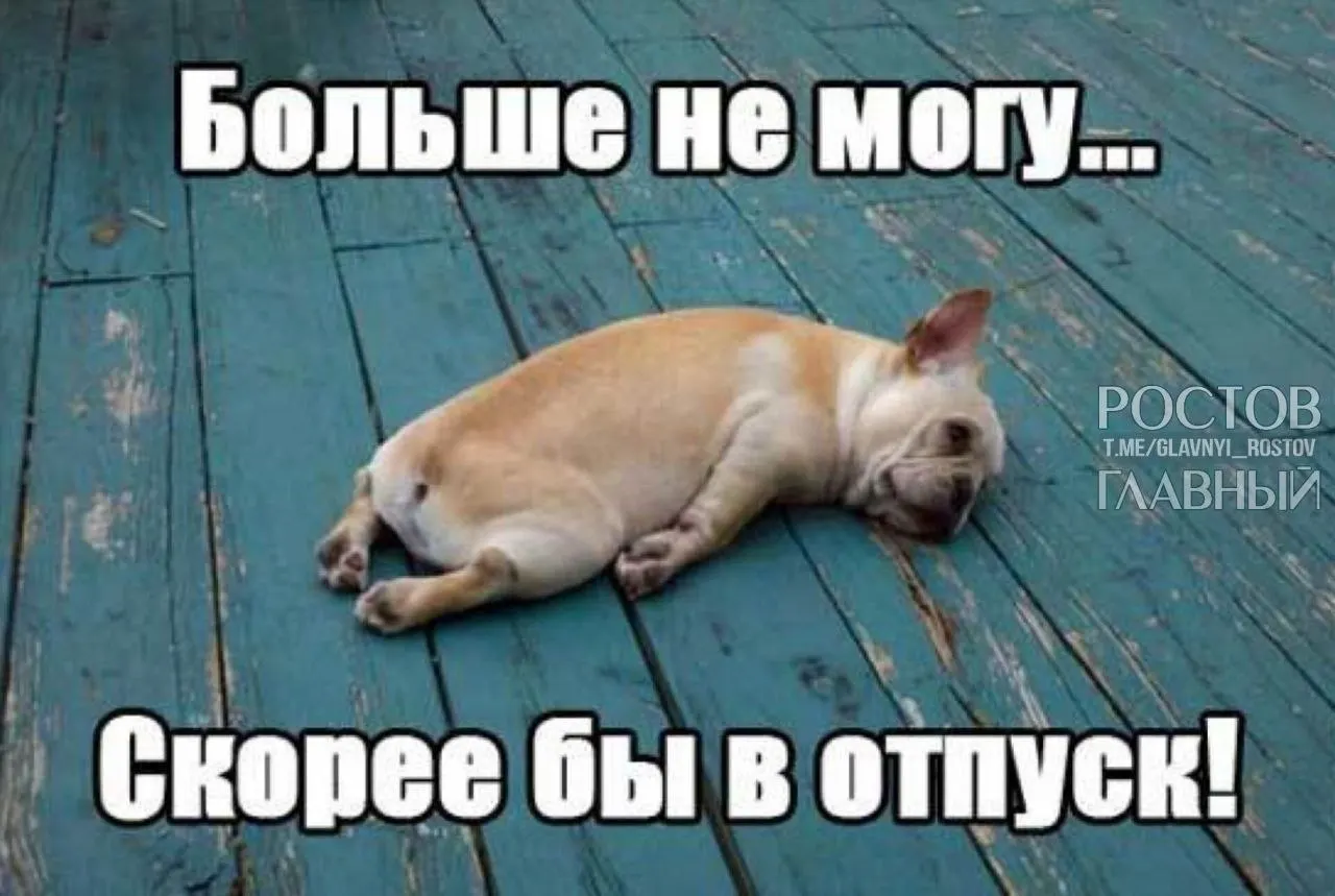 В Госдуме обсудили инициативу о повышении минимальной продолжительности ежегодного отпуска с 28 до 35 дней, чтобы компенсировать включённые в отпуск выходные и снизить риск профессионального выгорания.