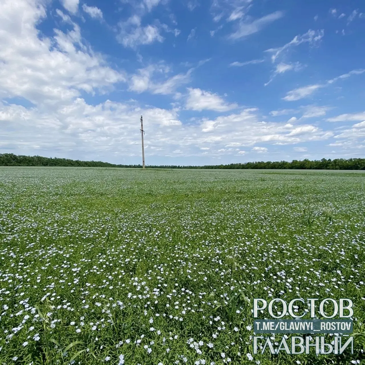 Днем в Ростове-на-Дону воздух прогреется до +29°C, ночью — около +18°C. Краткий городской прогноз.