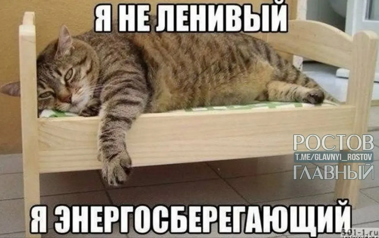 Опрос показал, что о шестичасовом рабочем дне чаще мечтают жители Нижнего Новгорода, Перми и Воронежа; петербуржцы — о полном освобождении от работы; больше трудоголиков оказалось в Краснодаре и Ростове-на-Дону.