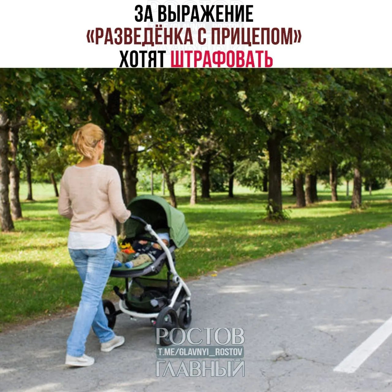 Парламентарии называют фразу женоненавистнической и уничижительной; юристы изучают инициативу, возможны штрафы за её публичное употребление.