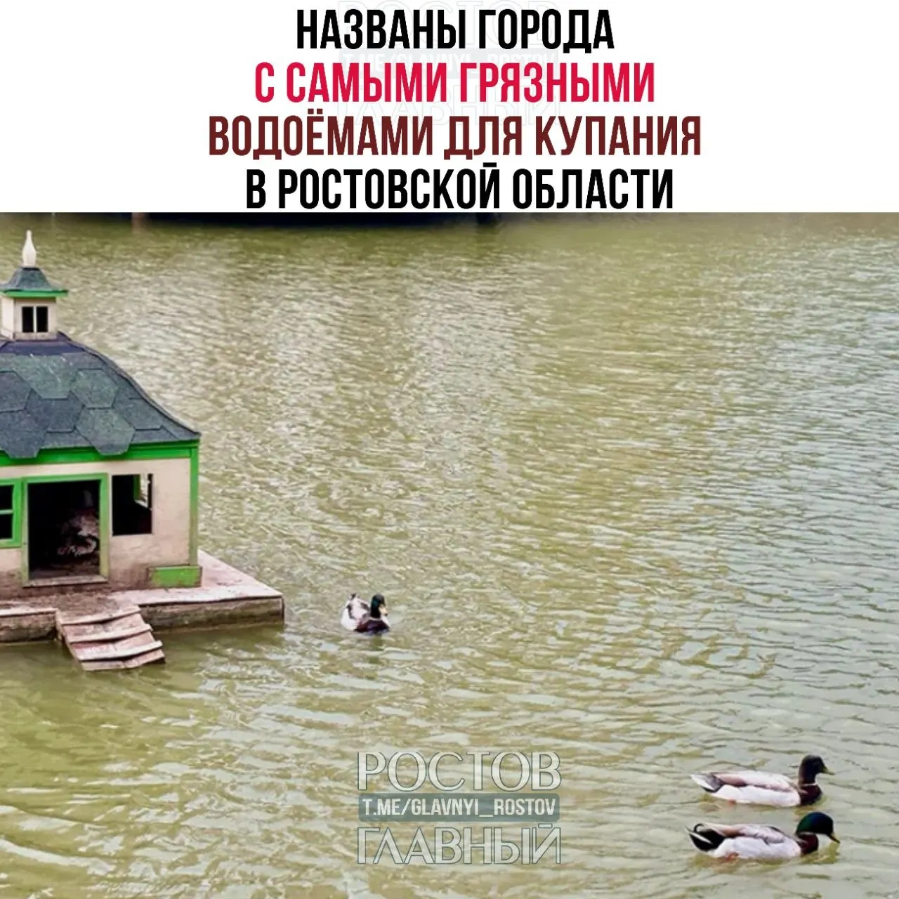 В Азове 87% исследованных проб признали неблагополучными по микробиологическим показателям. В числе городов с высокими показателями — Батайск, Шахты, Ростов и Гуково. По санитарно‑химическим нарушениям лидирует Ростов.