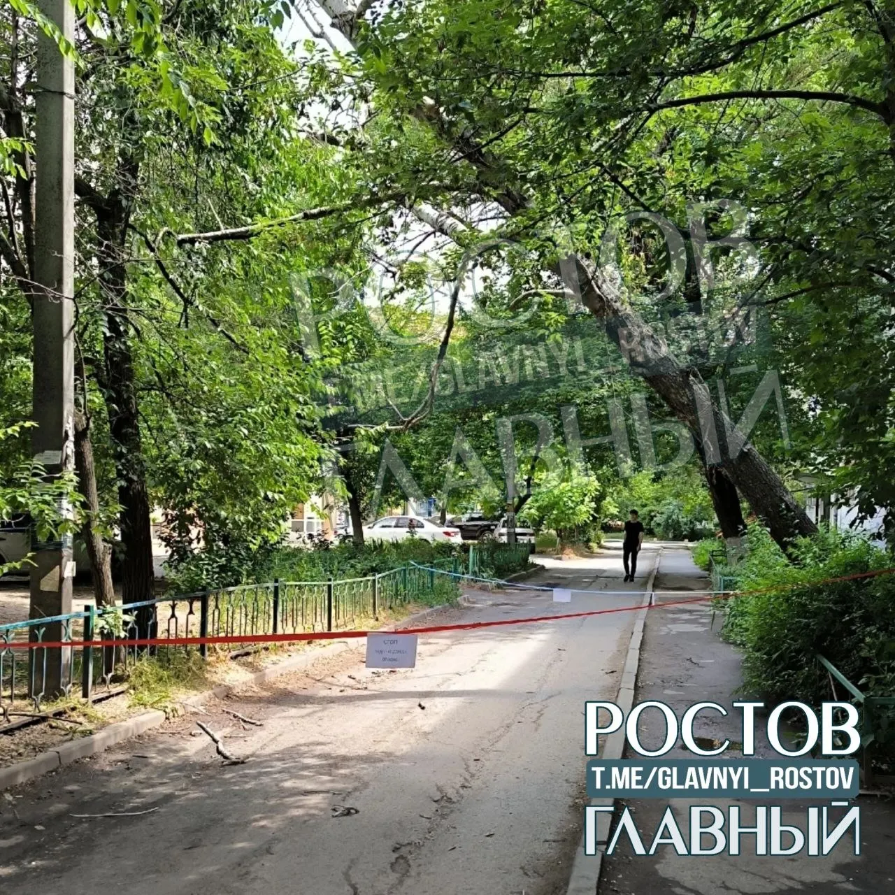 Около 00:40 дерево рухнуло у дома на Волкова, 7/4: жители ранее просили признать его аварийным, но реакции не последовало. Дерево зацепилось за провода и представляет опасность.