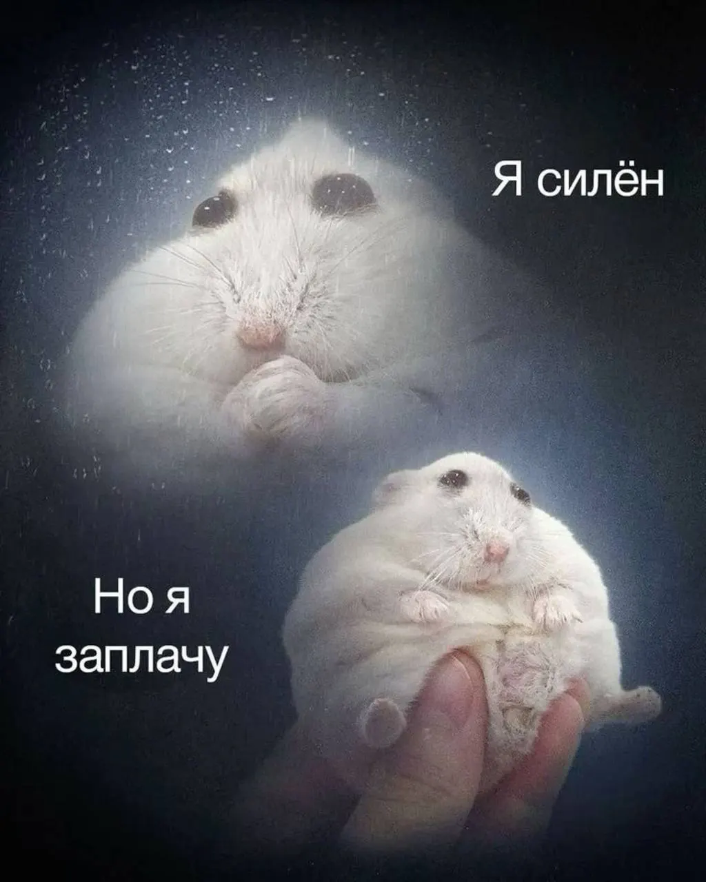 В Ростове‑на‑Дону днём ожидается преимущественно облачная погода, температура до +28 °C. Около 15:00 вероятен дождь, ветер будет несильный.