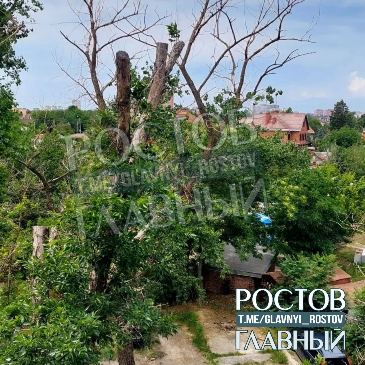 Два года назад во дворе по адресу Рабочая площадь, 6 срезали верхушки сухих деревьев, но они продолжают засыхать. Местные просят коммунальные службы осмотреть растения и принять меры во избежание угрозы для людей и автомобилей.