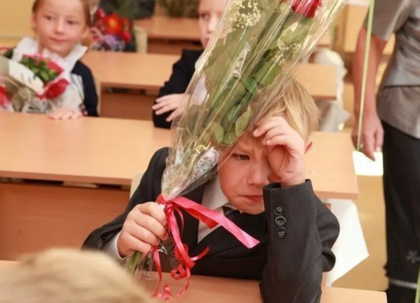 Замглавы Минпросвещения заявил, что 11-летняя школьная программа признана оптимальной, и сейчас не планируется ни её сокращение, ни увеличение. Все стандарты будут вводить с расчётом на 11 классов.