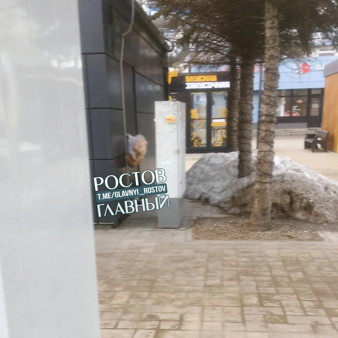 Жительница Ростова-на-Дону рассказала, что рядом с точкой шаурмы на улице Шолохова булки и лепёшки оставляют прямо на тротуаре. Люди переживают из‑за пыли и санитарных рисков.