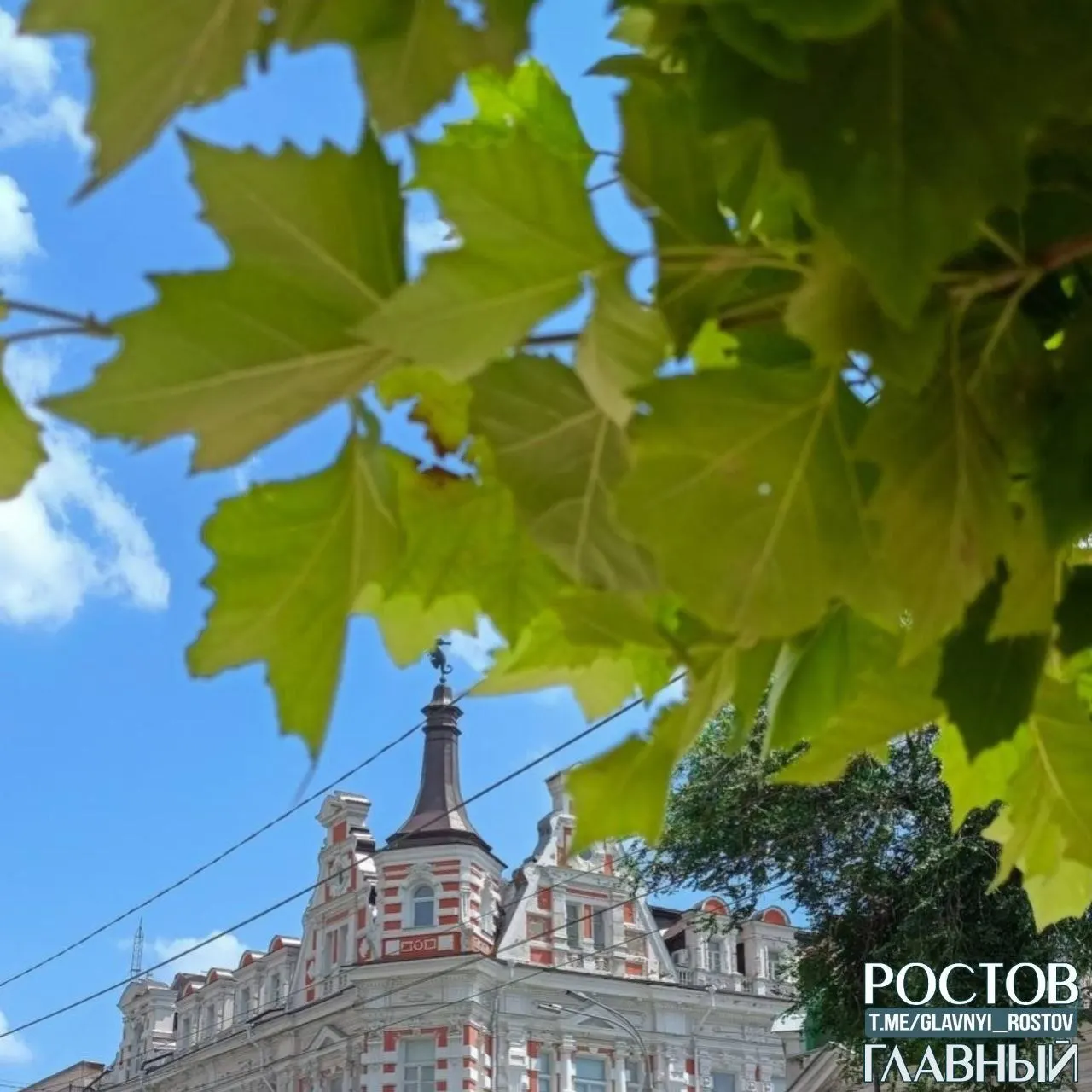Днём воздух прогреется до +26°С, минимальная температура составит примерно +16°С. Краткий обзор погодных условий на сегодня в Ростове-на-Дону.