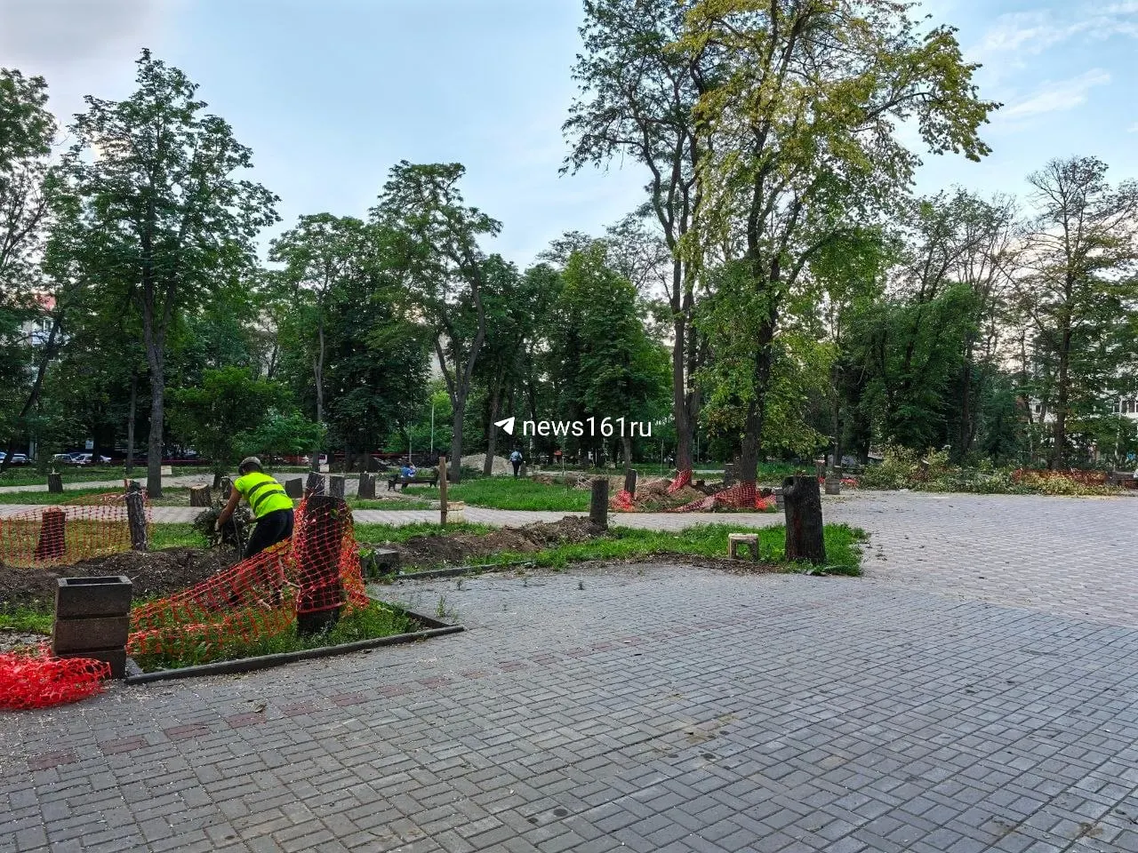 После снятия ограждений в парке Строителей обнаружили множество спиленных деревьев и пней. Причины работ неизвестны, жители выражают возмущение и опасаются за состояние зелёных насаждений.