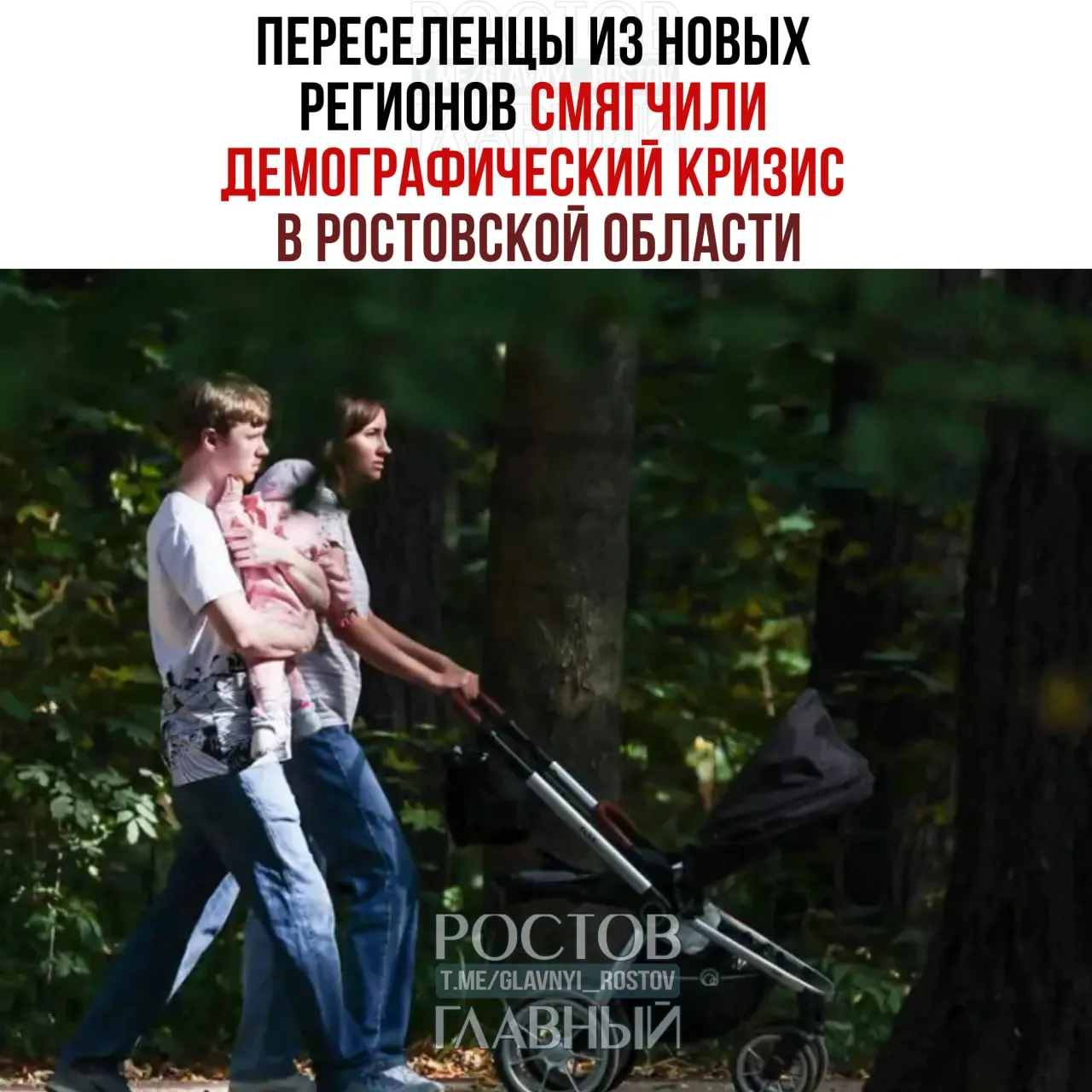 Приток жителей из Донецкой, Луганской, Херсонской и Запорожской областей частично компенсировал снижение численности населения региона, считают учёные.