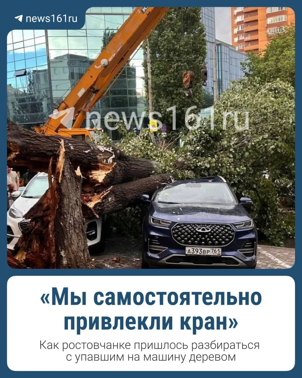 26 июня в Ростове-на-Дону после ливня и града на улице Красноармейской упало большое дерево: повреждены несколько автомобилей, один человек получил травмы.