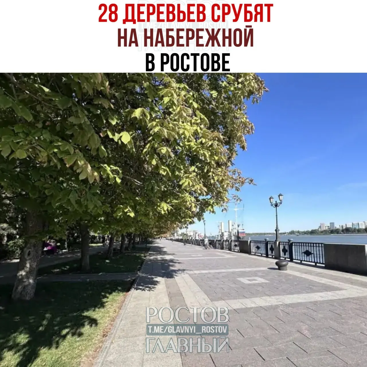 Управление благоустройства ищет подрядчика для удаления ветхих деревьев и обрезки на улице Береговой (от Газетного до Богатяновского спуска): 28 деревьев подлежат спилу, ещё 77 — обрезке.
