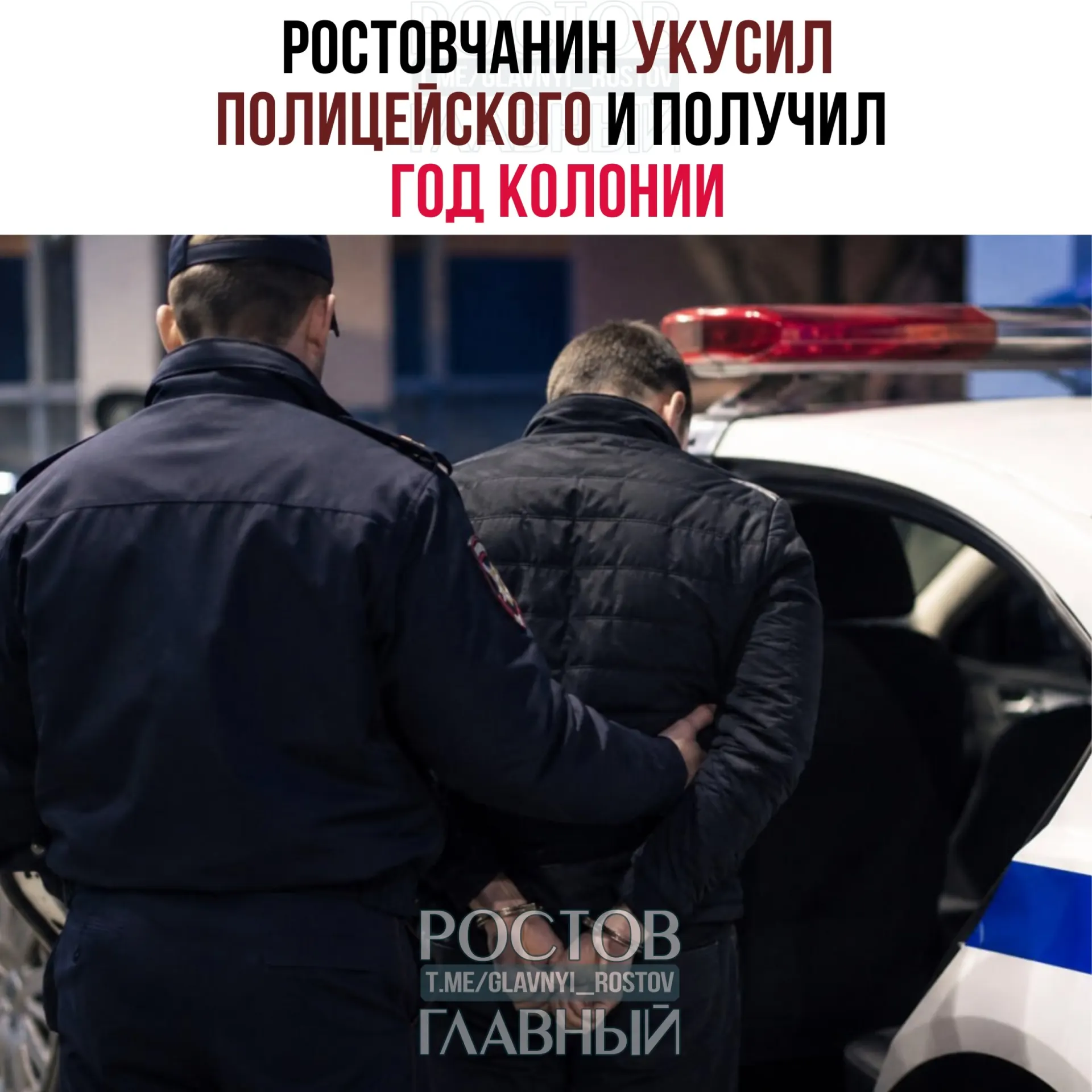 В январе 2025 года в Ростове‑на‑Дону нетрезвый мужчина укусил и ударил сотрудника полиции при задержании; суд назначил ему год колонии‑поселения.