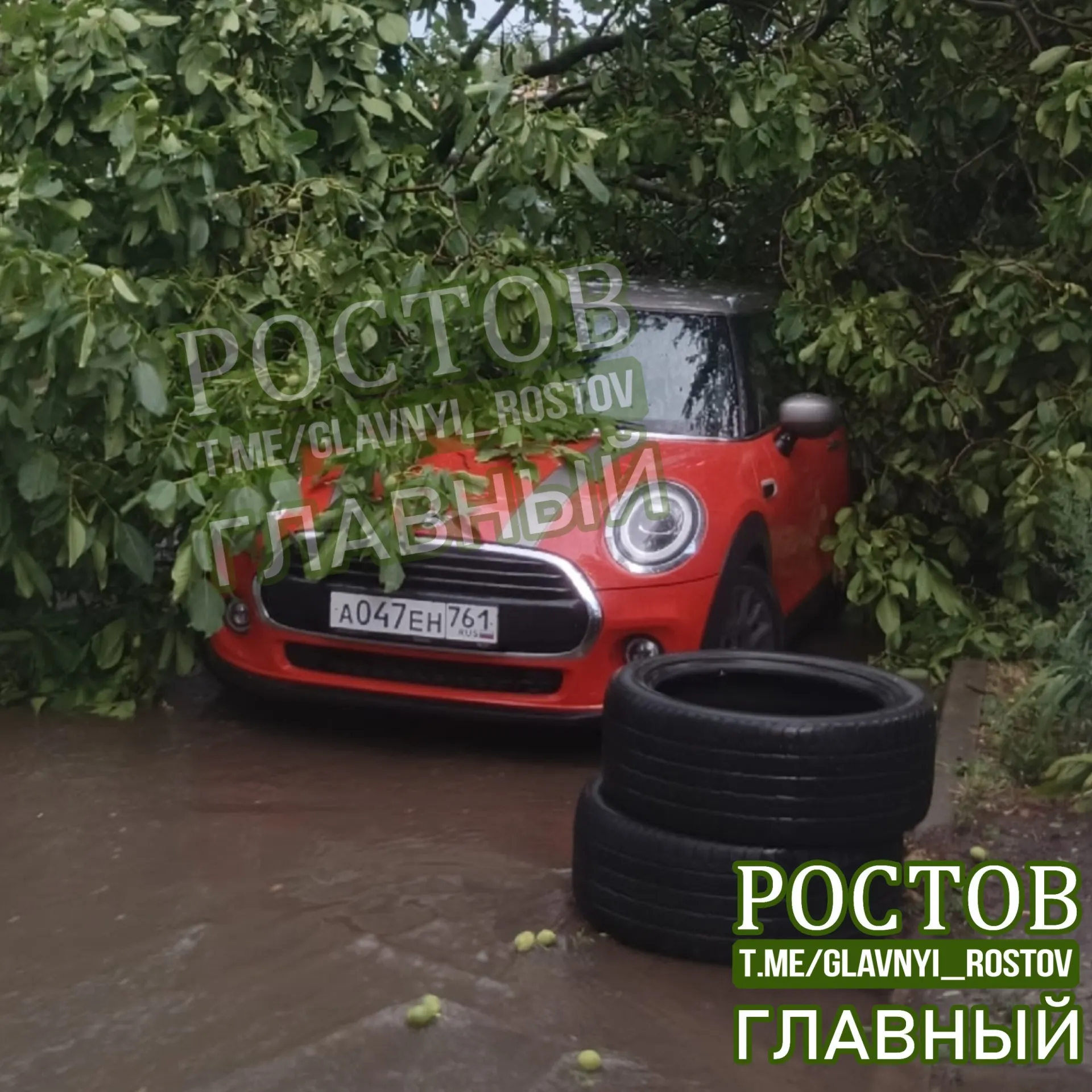 Дерево рухнуло между улицами Кировский и Журавлёва: проезд заблокирован, жители жалуются на отсутствие света и недоступность городских служб.