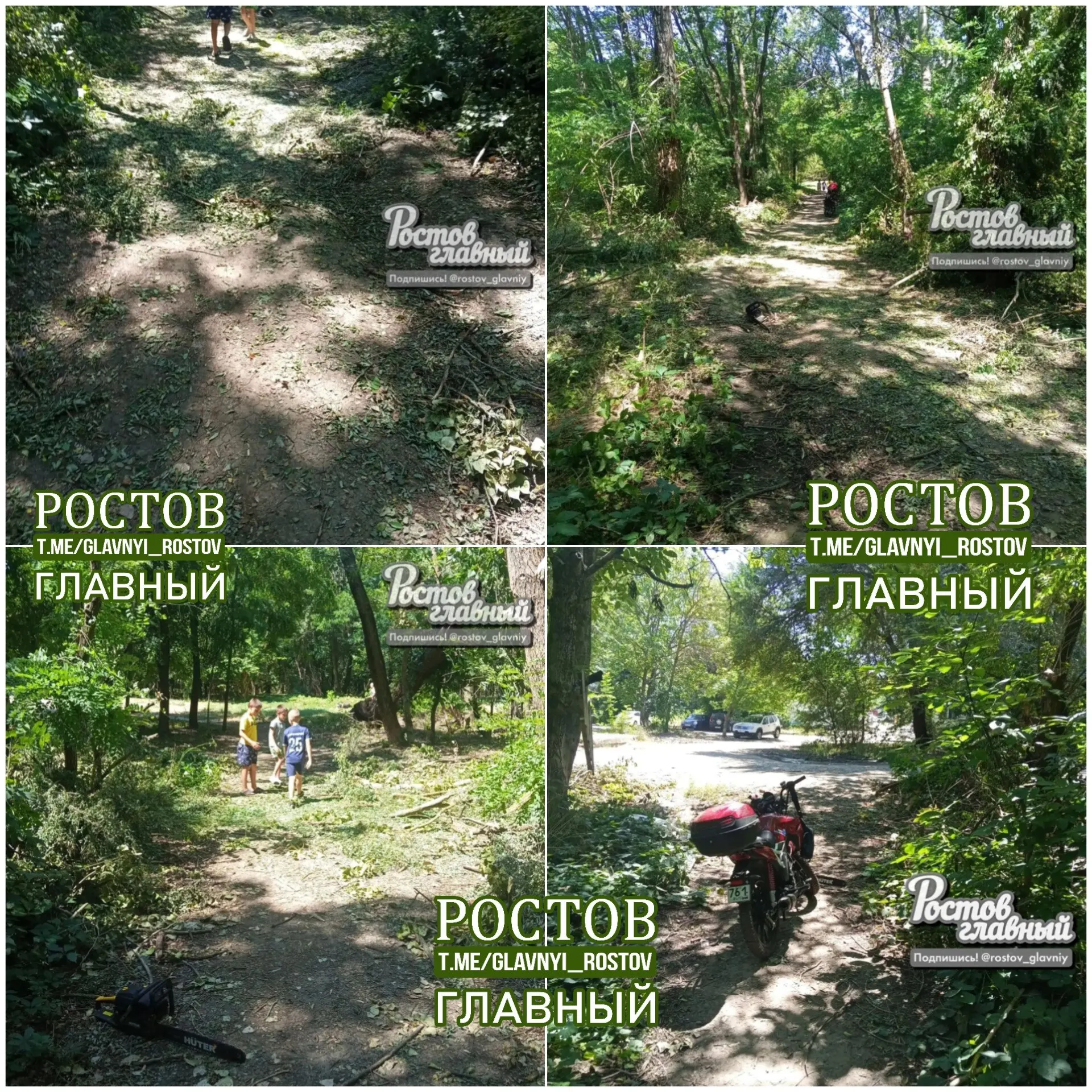 Мужчина вместе с детьми и сыновьями соседей расчистил проходы в местной роще на Берберовской, чтобы жители могли свободно проходить по тропинкам.
