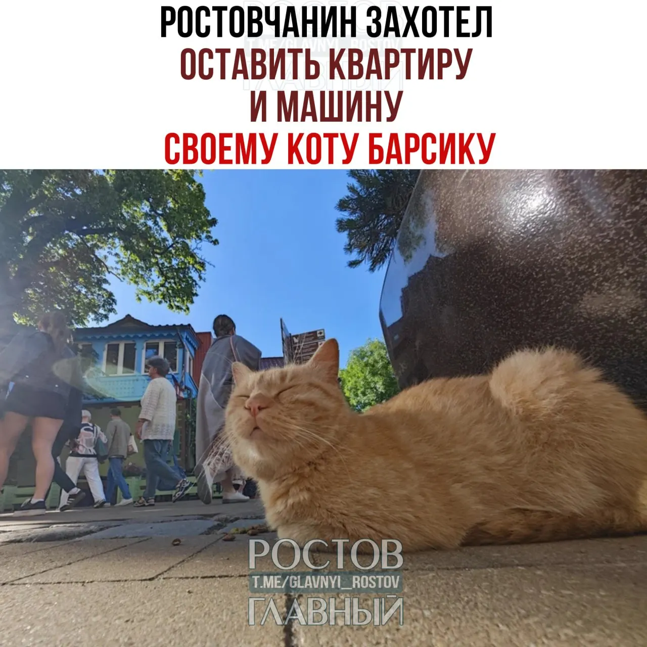 Пенсионер решил обеспечить уход за своим котом после смерти, но нотариус объяснил, что животное не может быть наследником; в завещании можно прописать лишь обязанности для будущих наследников и назначить контролёра исполнения такой воли.