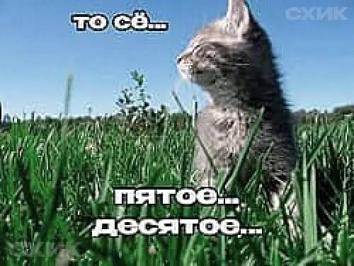 До +31°C, преимущественно солнечно, ветер до 5 м/с. Осадков не ожидается.