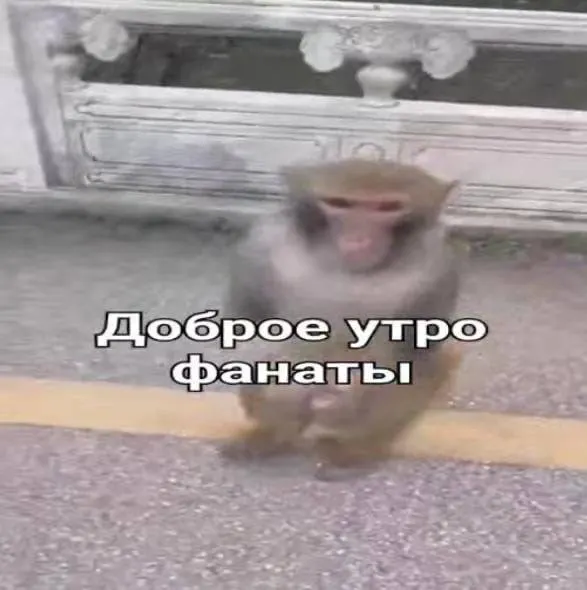 Сегодня в Ростове +29°C, без дождя, довольно солнечно, ветер слабый. Хорошего рабочего дня и доступного бензина.