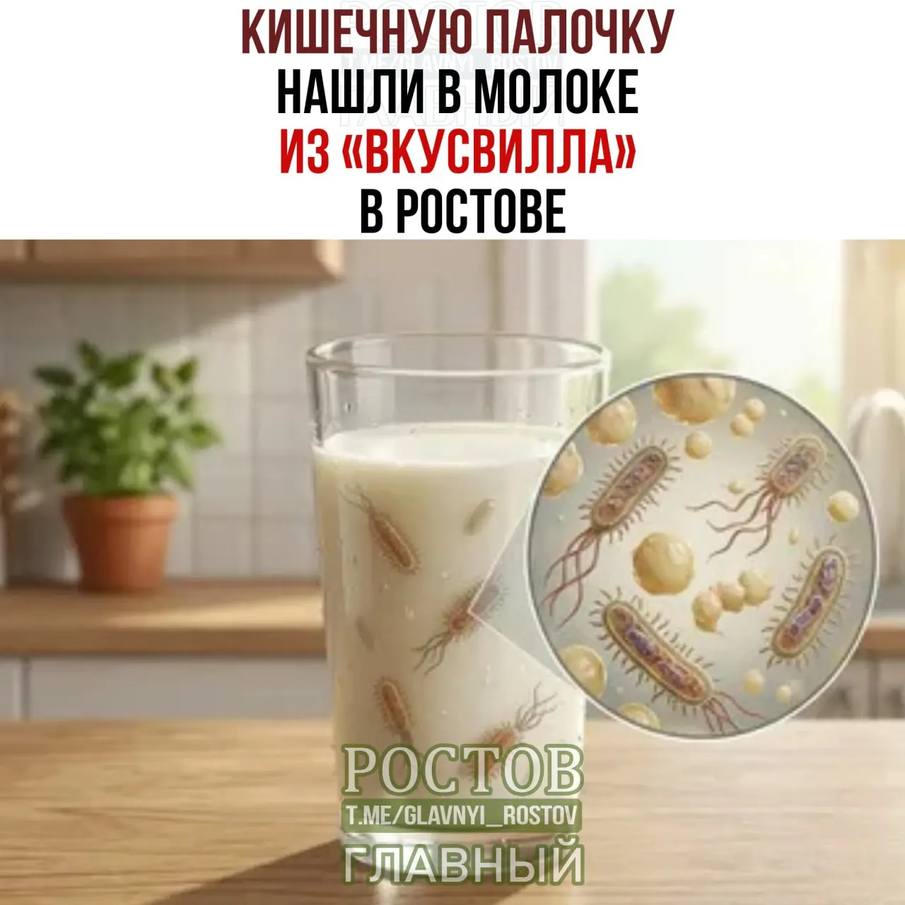 Роспотребнадзор выявил кишечную палочку в молоке 3,2% производства «Лебедяньмолоко», пробу брали в магазине на Большой Садовой. Розничная сеть назначила дополнительные лабораторные проверки и внеплановый аудит производителя.