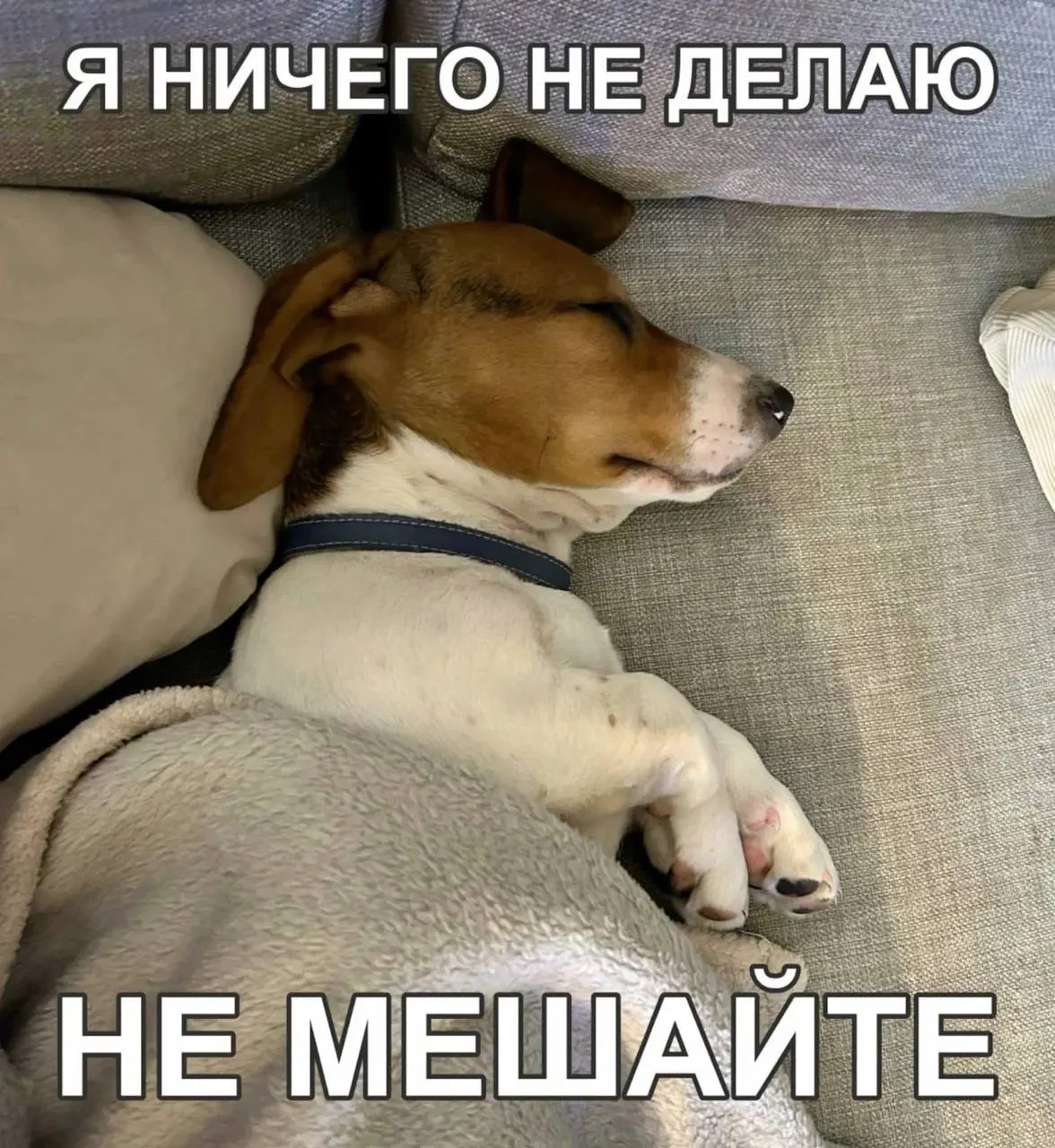 Днём +26…+28°C, ночью +14…+16°C. Переменная облачность, без осадков, ветер 6–11 м/с. В регионе действует 5-й класс пожарной опасности — будьте осторожны с огнём на природе.
