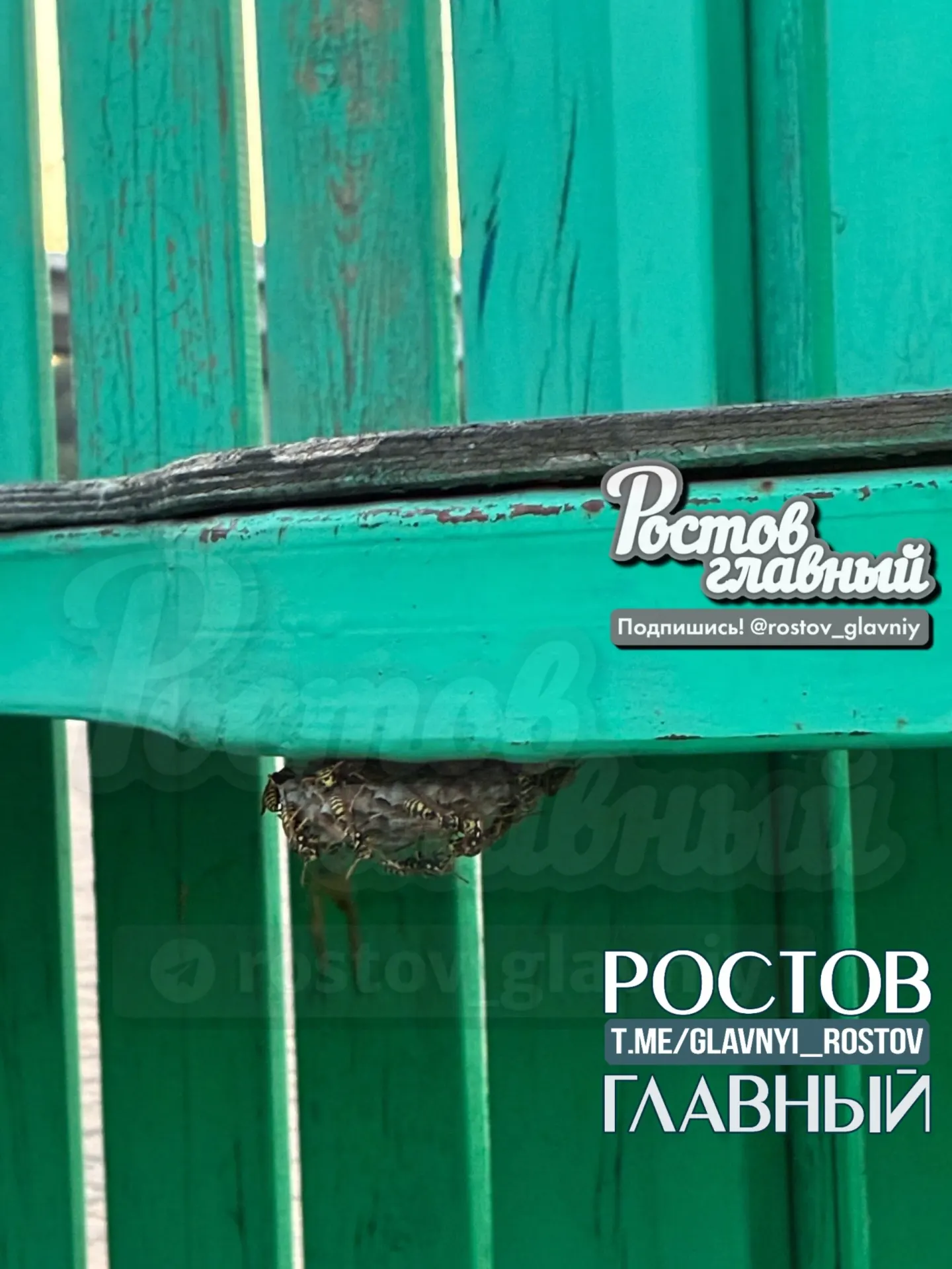 В детской зоне парка на старом аттракционе обнаружили осиное гнездо — мальчика атаковали насекомые, семье помогли прохожие и посетители рядом находящегося кафе.
