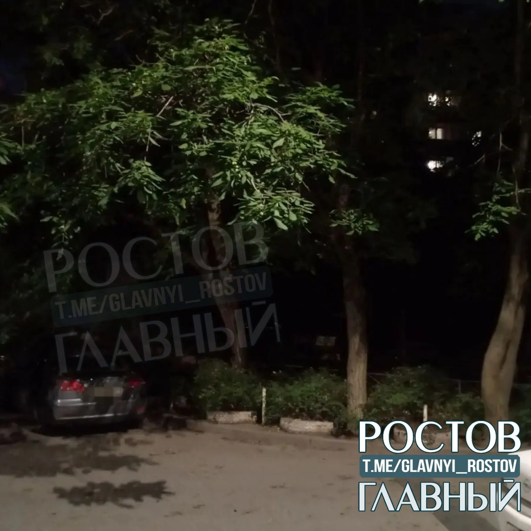 На улице Вятская, 67 в Ростове-на-Дону рухнувшее дерево повредило автомобиль. Сведения о пострадавших и обстоятельствах происшествия уточняются.