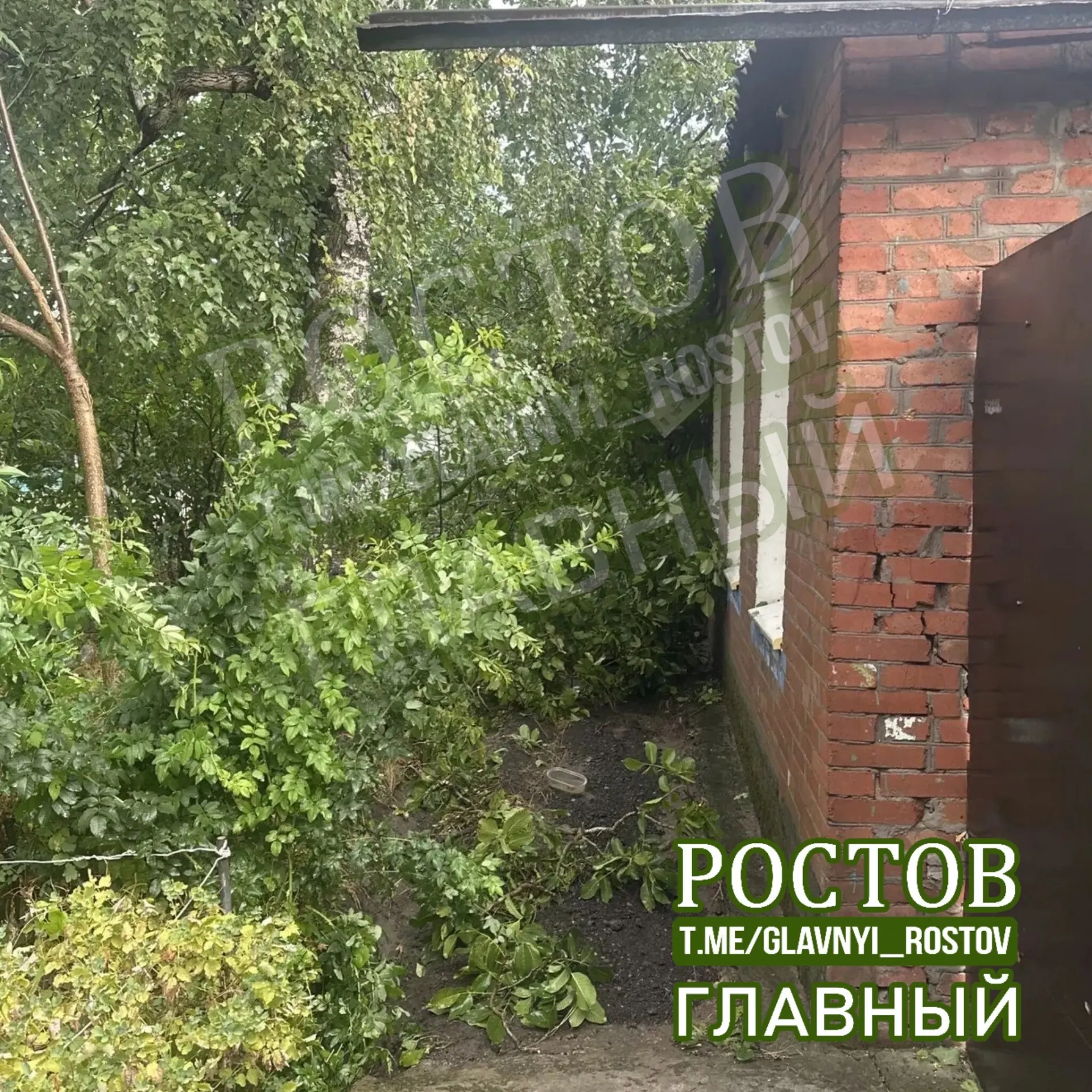 На Алтайской, 17 дерево завалило вход в дом — жители заблокированы, в помещении остались домашние животные. Сначала не удавалось дозвониться в 112, помощь пока ожидают.