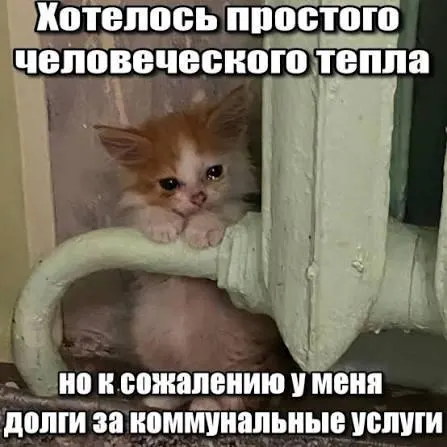 Верховный суд подтвердил, что трёхлетний срок исковой давности препятствует отражению в платёжных квитанциях долгов за капитальный ремонт старше трёх лет — решение важно для покупателей вторичного жилья и наследников.