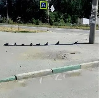 Днём в Ростове ожидается около +35°C и солнечная погода. Берите холодную воду, можно зайти за мороженым. Похолодание прогнозируют к четвергу.