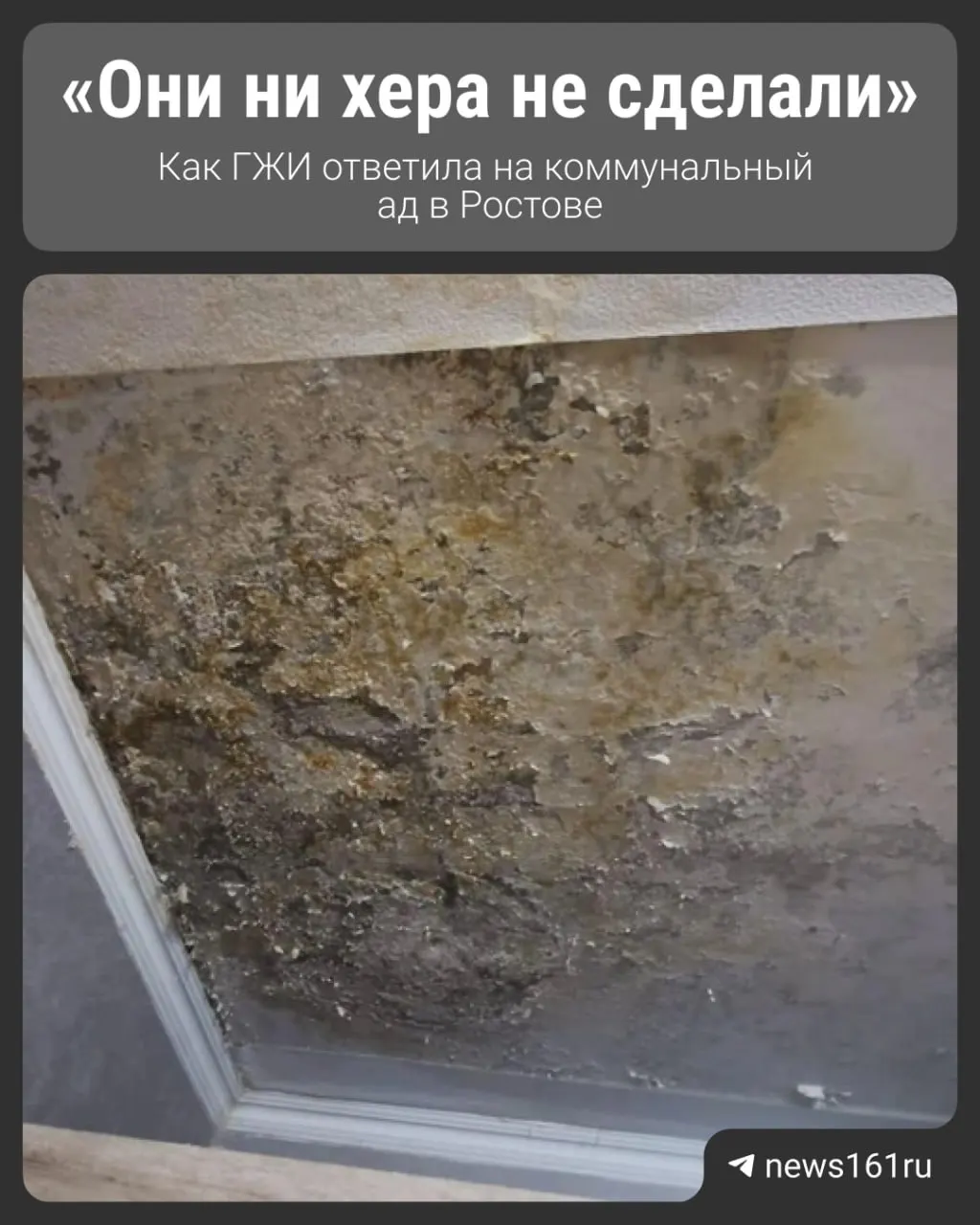 Жильцы многоэтажного дома в Ростове-на-Дону борются за ремонт крыши, которая течёт уже пять лет.