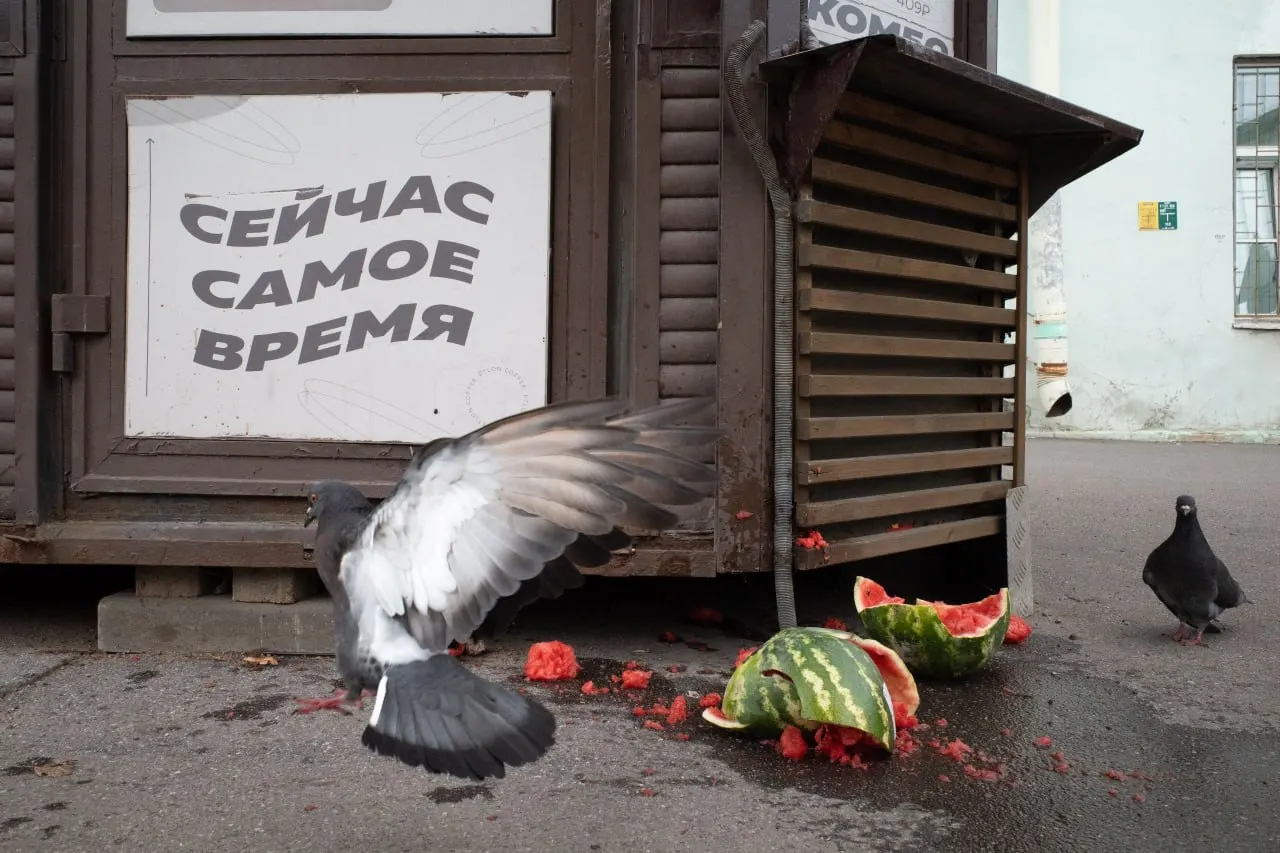 В Петербурге и Ленобласти прошли судебные и религиозные мероприятия: штраф за антивоенное высказывание, иски о регистрации на выборы, памятные панихиды и региональные новости.